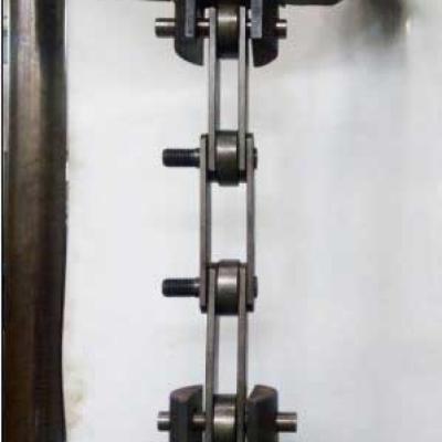 Wise Chain Conveyor