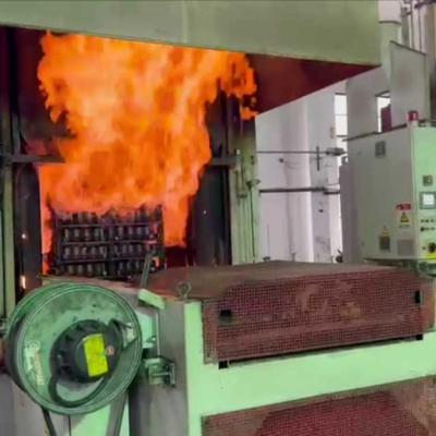 Wise Chain Conveyor