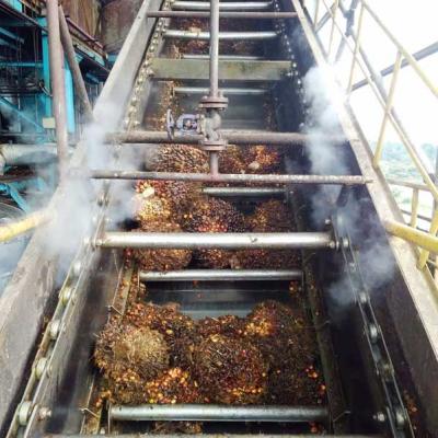 Wise Chain Conveyor